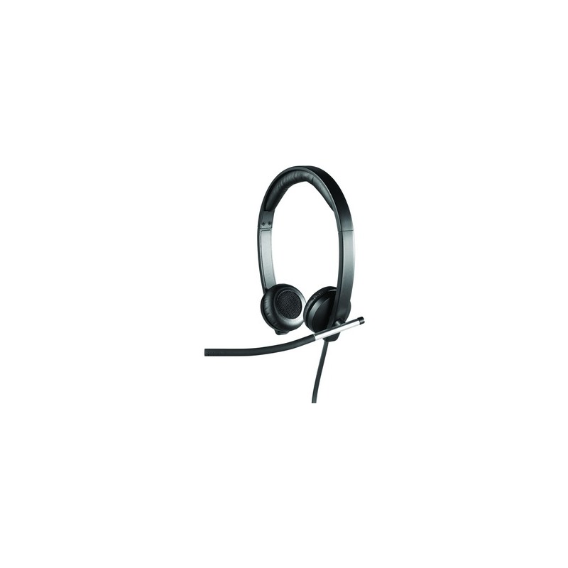 Ausinės Logitech H650e Stereo USB (981-000519)