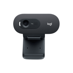 Internetinė kamera Logitech C505e HD Webcam (960-001372), , juoda
