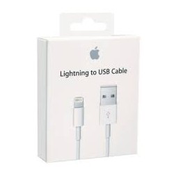 Kabelis Apple Lightning USB 1m