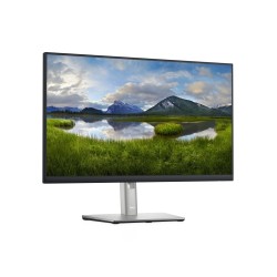 Monitorius Dell LCD P2422H 23.8 inch, sidabrinės/juodos spalvos