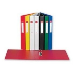 Segtuvas Esselte, A4/35 mm, 2-jų žiedų,  pilkas