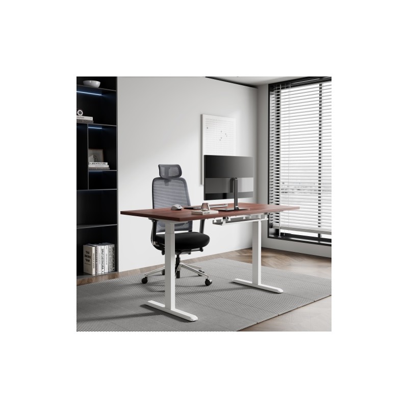 Reguliuojamo aukščio stalas Up Up Bjorn Baltas, Stalviršis L Tamsaus riešuto spalvos