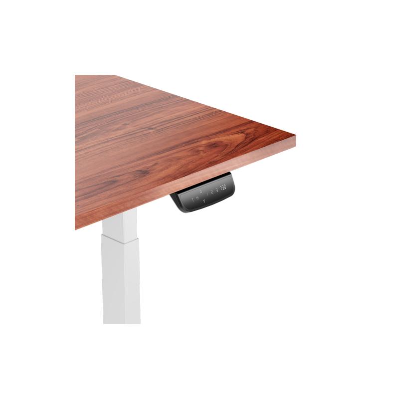 Reguliuojamo aukščio stalas Up Up Bjorn Baltas, Stalviršis L Tamsaus riešuto spalvos