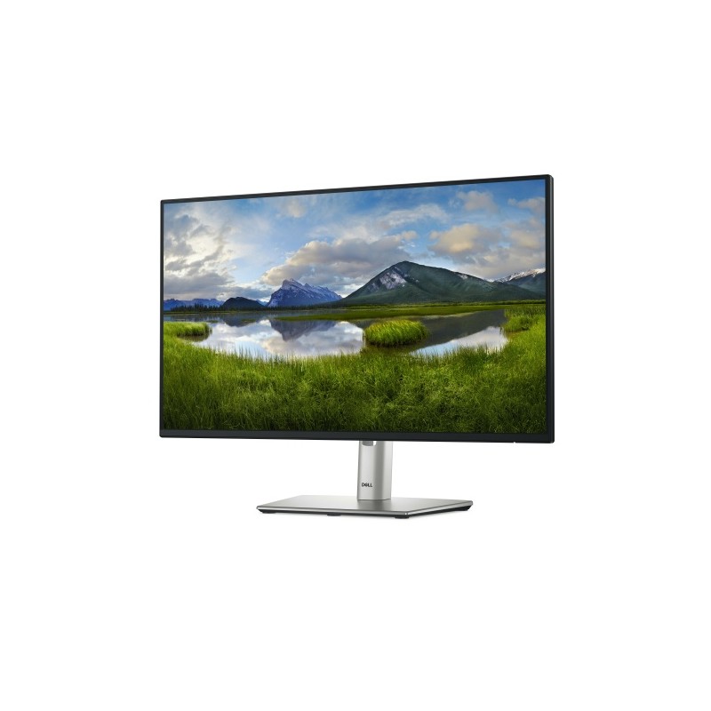 Dell P Series P2425H Monitorius 24'' IPS FHD 1920x1080, 8 ms, 250 cd/m2, 75 Hz, Silver/Black