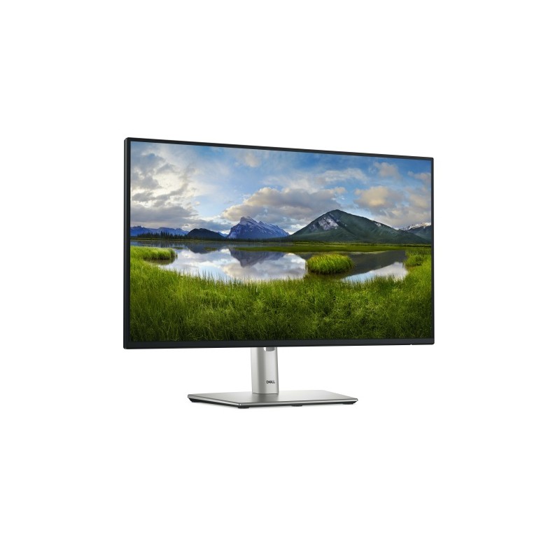 Dell P Series P2425H Monitorius 24'' IPS FHD 1920x1080, 8 ms, 250 cd/m2, 75 Hz, Silver/Black