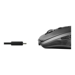 Logitech MX Anywhere 2S Belaidė pelė, RF Wireless + Bluetooth, 4000 DPI, Graphite