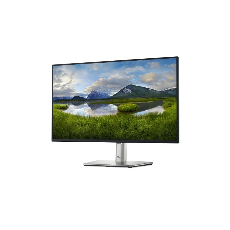 Dell P Series P2425H Monitorius 24'' IPS FHD 1920x1080, 8 ms, 250 cd/m2, 100 Hz, Silver/Black (SPEC)