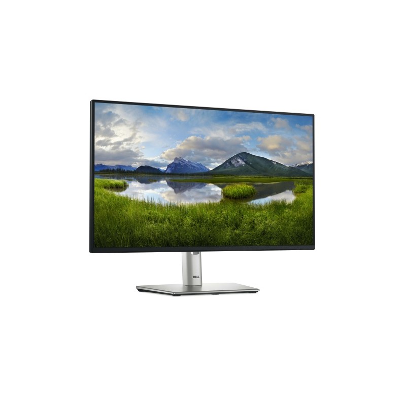 Dell P Series P2425H Monitorius 24'' IPS FHD 1920x1080, 8 ms, 250 cd/m2, 100 Hz, Silver/Black (SPEC)