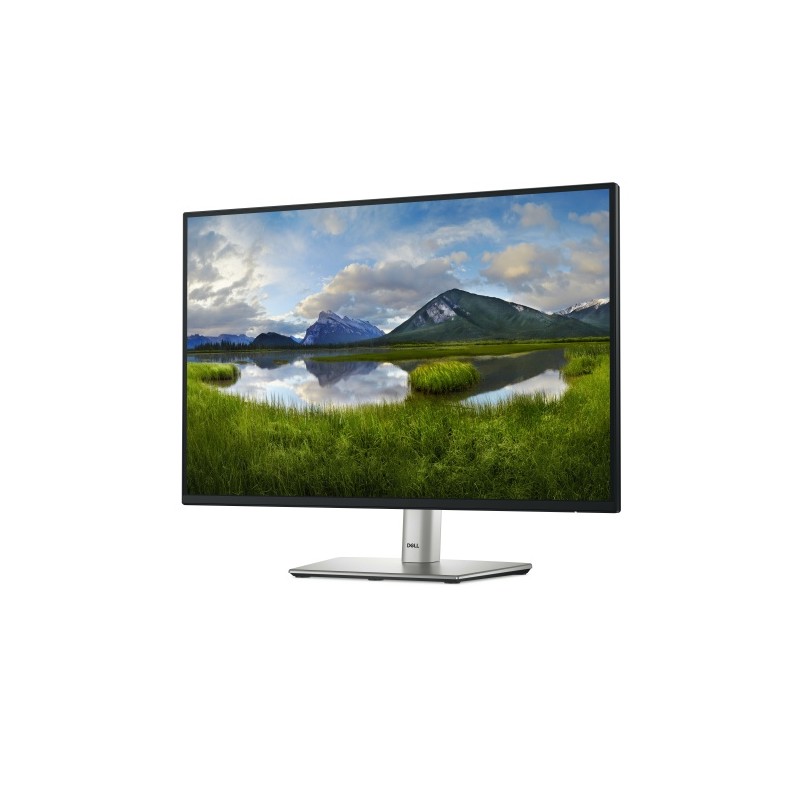 Dell P2425E Monitorius 24'' IPS WUXGA 1920x1200, 8 ms, 300 cd/m2, 100 Hz, Black/Silver