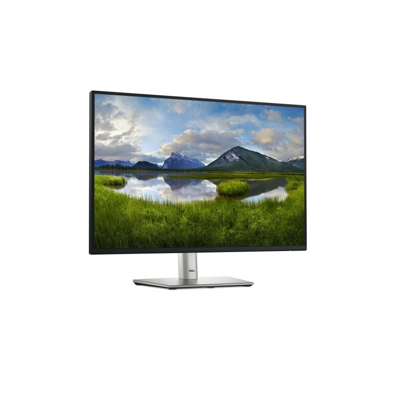 Dell P2425E Monitorius 24'' IPS WUXGA 1920x1200, 8 ms, 300 cd/m2, 100 Hz, Black/Silver