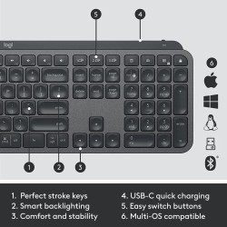 Logitech MX Keys Combo for Business Gen 2 Belaidė klaviatūra + pelė +Atrama riešui, US Int, Graphite