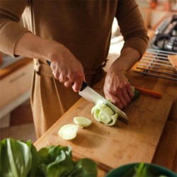 Fiskars Functional Form 1057536 Santoku peilis 16 cm