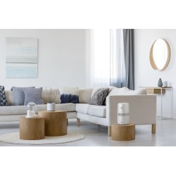 Philips 2000 Series HU2510/10 Oro drėkintuvas, Balta