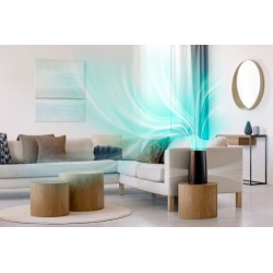 Philips 3000 Series HU3918/10 Oro drėkintuvas, Juoda/Vario