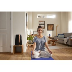 Philips 3000 Series HU3918/10 Oro drėkintuvas, Juoda/Vario