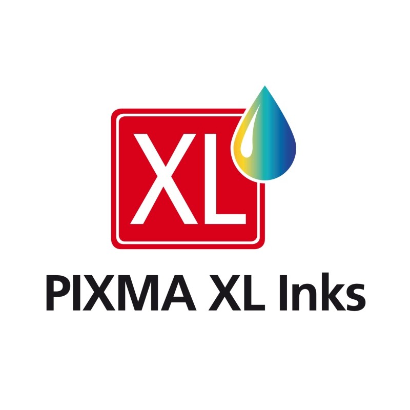 Canon PGI-550XL PGBK (6431B010) Rašalinių kasečių komplektas, Juoda