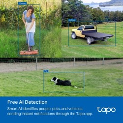 TP-Link TAPO C501GW Outdoor Pan/Tilt 4G LTE Vaizdo kamera