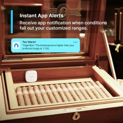 TP-Link TAPO T310 Išmanusis temperatūros ir drėgmės jutiklis