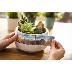 Brother CZ-1005 (CZ1005) Etikečių ritinėlis, 50mm, 5m