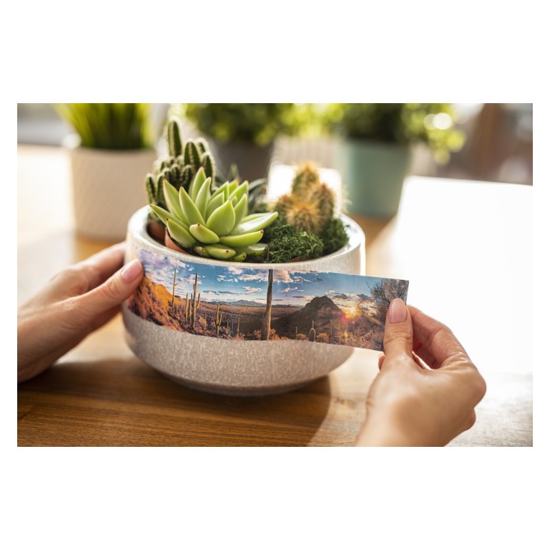 Brother CZ-1005 (CZ1005) Etikečių ritinėlis, 50mm, 5m