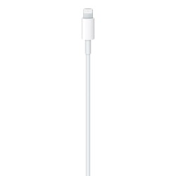Apple USB-C Male į Lightning Male Kabelis 1m, Balta