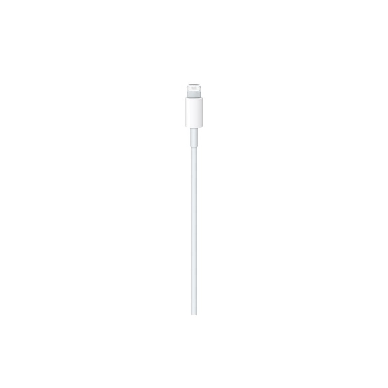 Apple USB-C Male į Lightning Male Kabelis 1m, Balta