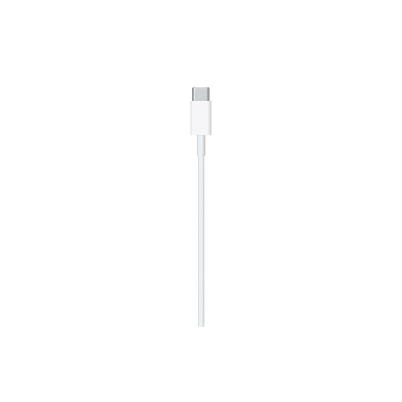 Apple USB-C Male į Lightning Male Kabelis 1m, Balta