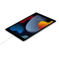 Apple USB-C Male į Lightning Male Kabelis 1m, Balta