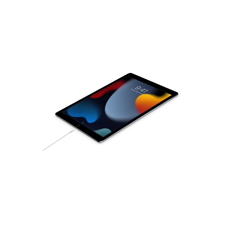 Apple USB-C Male į Lightning Male Kabelis 1m, Balta