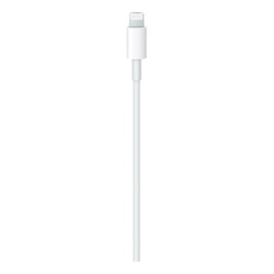 Apple USB-C Male į Lightning Male Kabelis 2m, Balta