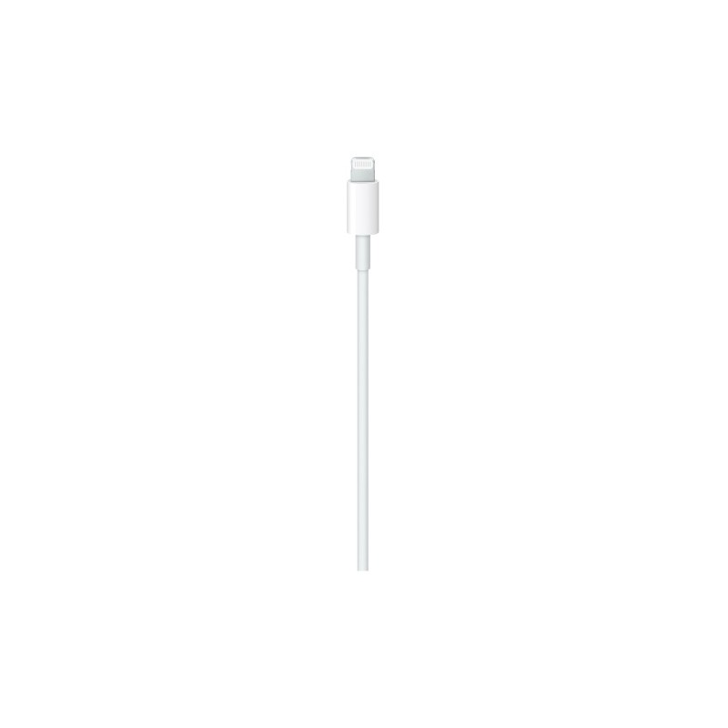Apple USB-C Male į Lightning Male Kabelis 2m, Balta