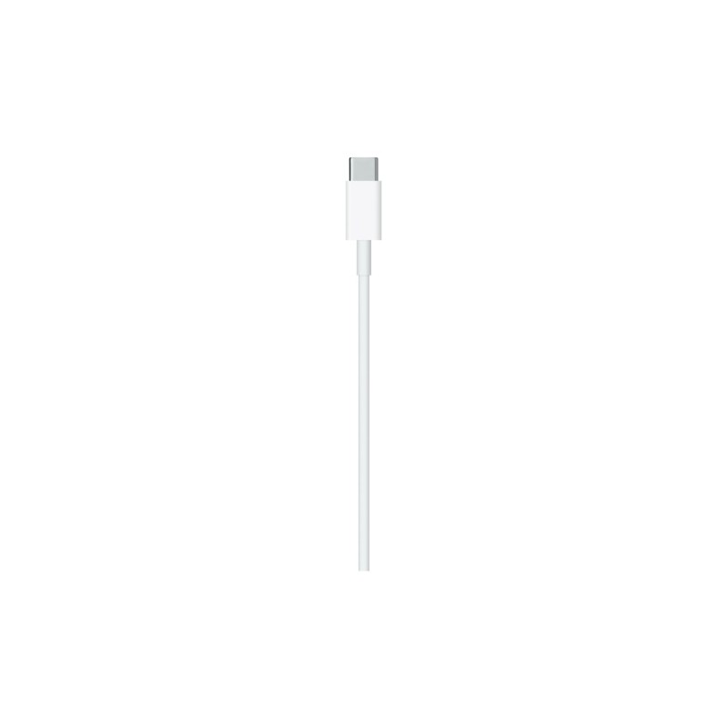 Apple USB-C Male į Lightning Male Kabelis 2m, Balta
