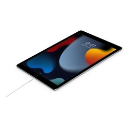 Apple USB-C Male į Lightning Male Kabelis 2m, Balta