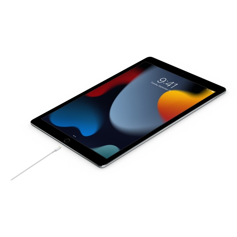 Apple USB-C Male į Lightning Male Kabelis 2m, Balta