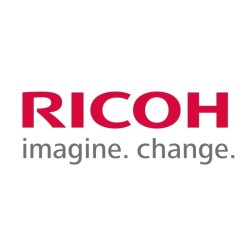 Ricoh D2586955 (D258-6955) OZONE FILTER:LARGE
