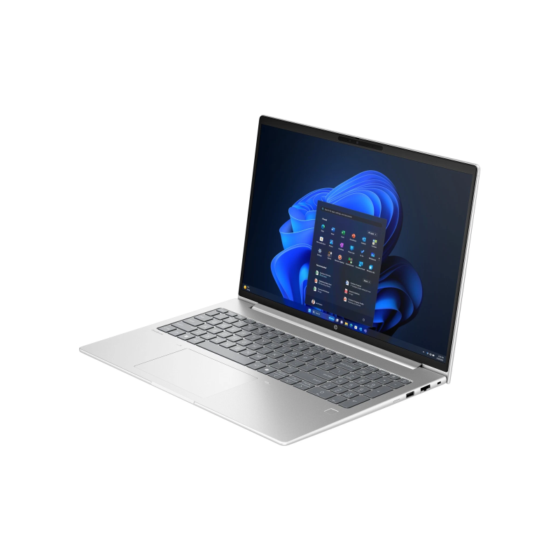 HP ProBook 4 G1a BM2S8UT 16'' WUXGA AMD Ryzen 5 230 16GB 256GB SSD W11P, Pike Silver