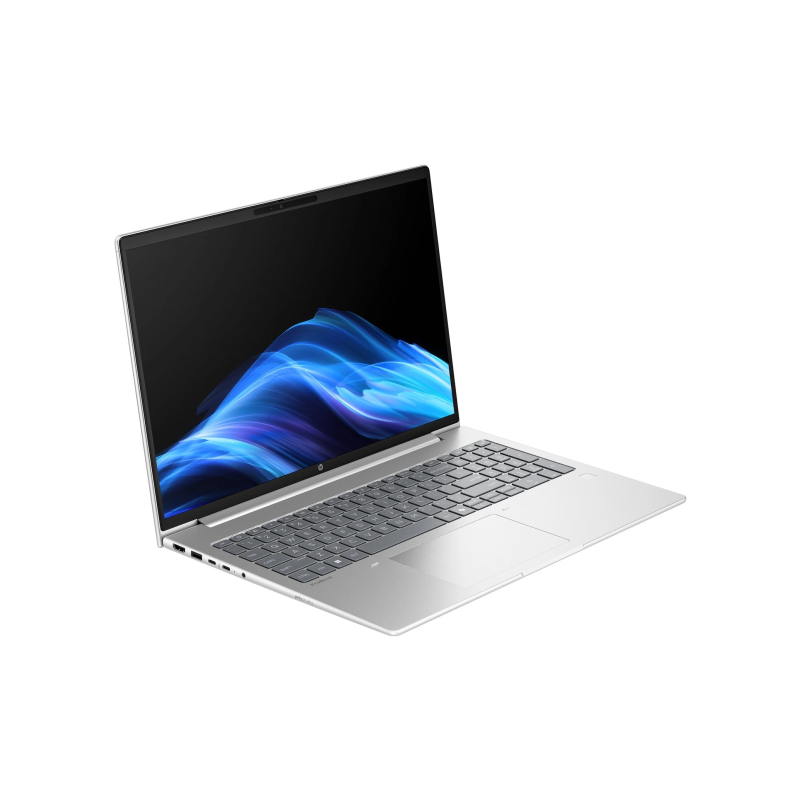 HP ProBook 4 G1a BM2S8UT 16'' WUXGA AMD Ryzen 5 230 16GB 256GB SSD W11P, Pike Silver