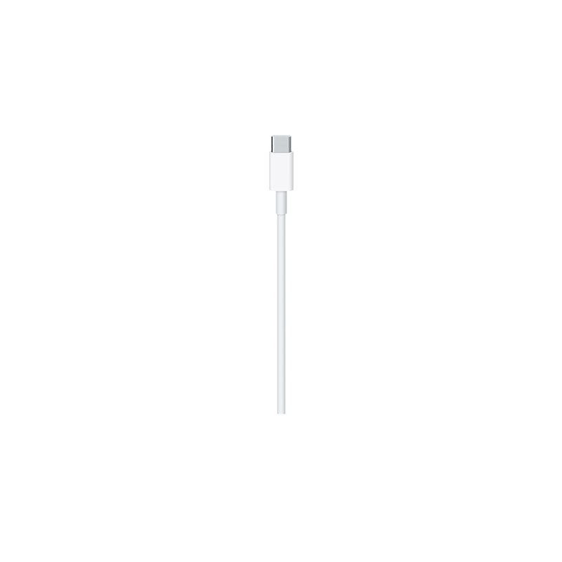 Apple USB-C į USB-C Kabelis 2m, Balta