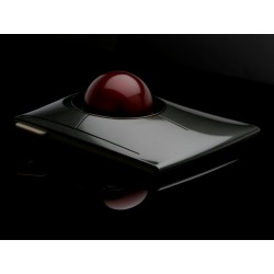 Rutulinis manipuliatorius Kensington SlimBlade Trackball