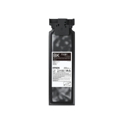 Epson UltraChrome DG2 T55B1 (C13T55B100) 250 ml Rašalinė kasetė, Juoda