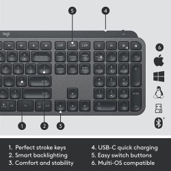 Logitech MX Keys Combo for Business Gen2 Belaidė klaviatūra+pelė+Atrama riešui, US, Graphite (SPEC)