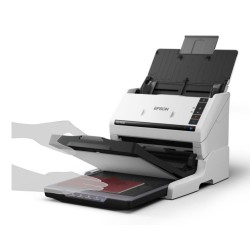 Epson WorkForce DS-530III Skeneris spalvotas A4 40 ppm 600x600 DPI, Duplex, ADF, USB