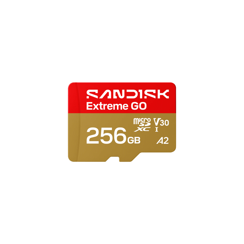 SanDisk Extreme GO microSDXC Atminties kortelė 256GB UHS-I